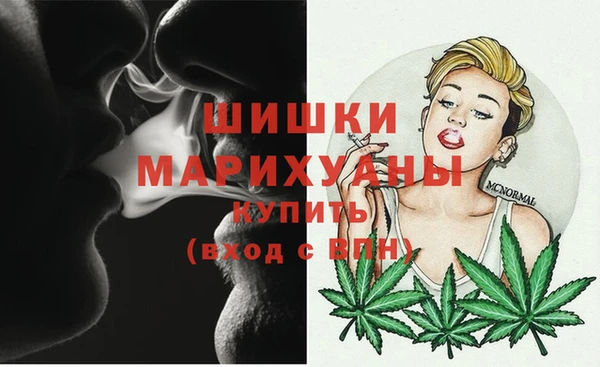 МДПВ Липки