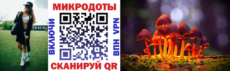 Псилоцибиновые грибы прущие грибы  Волжский 