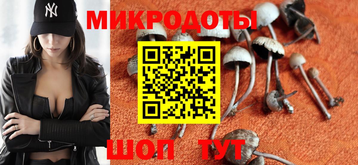 Галлюциногенные грибы Psilocybine cubensis  где купить   Волжский  Галлюциногенные грибы Magic Shrooms 